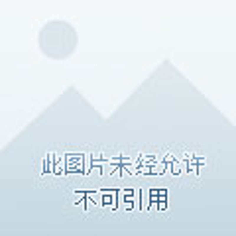 物业维修：如何有效解决房屋问题
